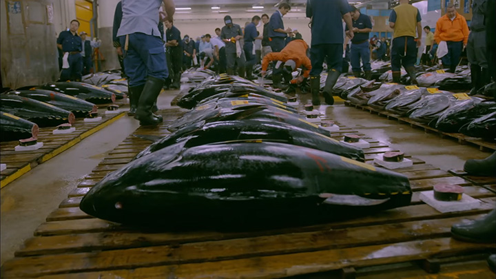 Trailer de Tsukiji Wonderland con Subtítulos en Inglés